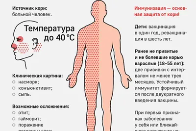 При кори симптомы у детей возникают внезапно. Инкубационный период  составляет от 9 до 12 суток. У детей, прошедших иммунизацию до 21 суток.… |  Instagram