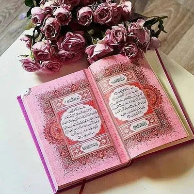 Читайте по больше священный Коран, и размышляйте над ним. ☺Воплощая в жизнь  то что вы узнали из него. И сторонитес… | Saint coran, Images jumma  mubarak, Coran livre