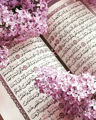 БАДЫ•ПАРФЮМ•СВЕТ ИСЛАМА on Instagram: \"Одна из самых красивых моделей😍🥳  Коран в бархатном переплете, с позолоченными краями страниц, с  декоративными вставками ✓Шрифт: мединский ✓В наличии в 3х размерах ✓В  ассортименте много расцветок\"