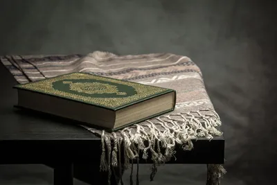 Читать Коран красиво | islam.ru
