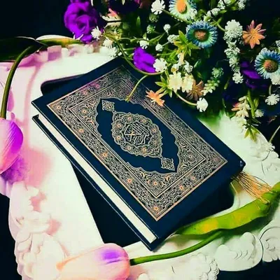 Интересные факты о Коране | Халим Красин | Дзен