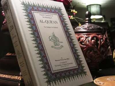 Самый красивый подарок Коран The Koran and French трансляция религиозных  публикаций французский Kuran Purport Kuran | AliExpress