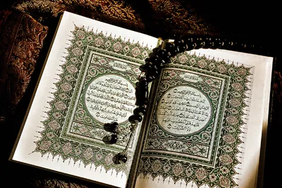25 интересных фактов о Коране | islam.ru