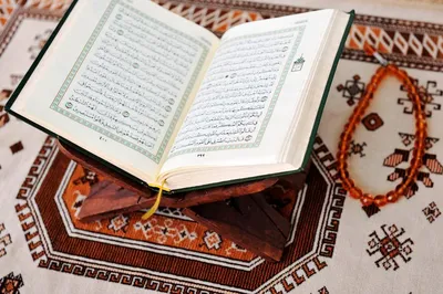Почитание Священного Корана – важная обязанность мусульманина |  Информационное агентство \"Грозный-Информ\"