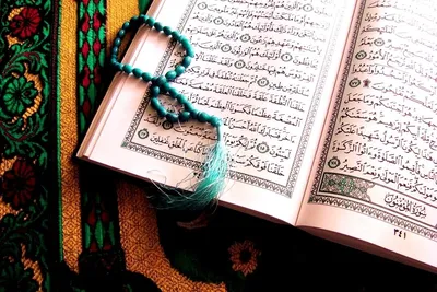 Корана на русском