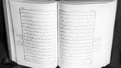 Коран на русском языке с таджвидом. Коран 4 в 1 Iman Book 57586059 купить  за 2 241 ₽ в интернет-магазине Wildberries