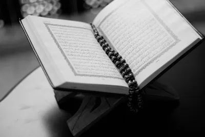 ООН приняла резолюцию, которая осуждает сожжение Корана и других священных  книг | Inbusiness.kz