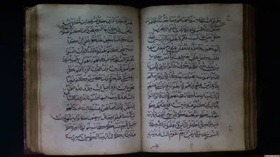 Рецитация священного Корана (2 части) BOOK LARIBA 80867313 купить за 1 192  ₽ в интернет-магазине Wildberries
