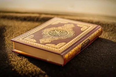 Всё о Священном Коране | Перевод и Тафсир Корана