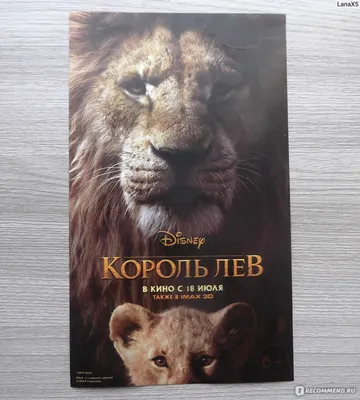 Король лев 2: Гордость Симбы. Disney Дисней Мультфильмы DVD - купить с  доставкой по выгодным ценам в интернет-магазине OZON (1154017305)