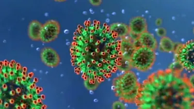Как выявляют вирус COVID-19 с использованием ОТ-ПЦР в реальном времени? |  МАГАТЭ