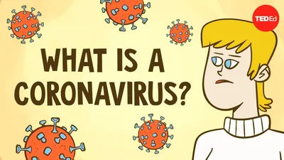 В Австралии нашли подавляющее коронавирус лекарство