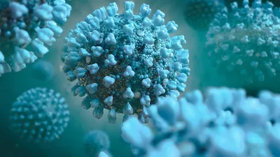Coronavirus (COVID-19): Latest COVID pandemic news | ABC News - ABC News