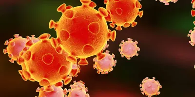 What is coronavirus and Covid-19? An explainer | CNN