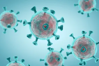 Как коронавирус поражает права человека? Объясняет Amnesty International –  Amnesty International