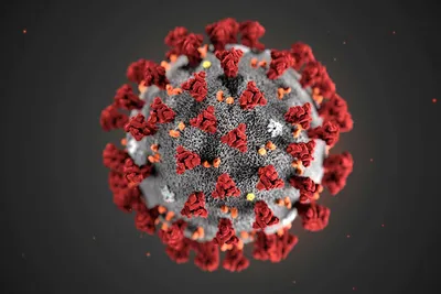 What Is JN.1? Experts Explain the Latest COVID Variant