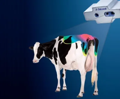 Ростовая фигура корова \"Milka\", пластик купить недорого, цены от  производителя 82 750 руб.