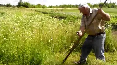 Коса старые аграрные инструменты для косить траву Стоковое Изображение -  изображение насчитывающей лето, деревенский: 58092303