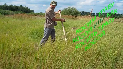 Чем лучше косить траву: виды садового оборудования и режущие инструменты |  Baltija.eu