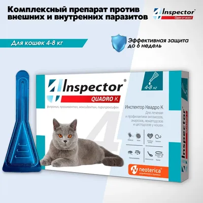 Купить Милпразон таблетки от глистов для кошек (цена за 1 таблетку) -  доставка, цена и наличие в интернет-магазине и аптеках Доктор Вет