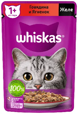 Влажный корм для кошек Whiskas (Вискас), говядина и ягненок в желе, 75 г –  купить в Томске и Северске за 31 рублей