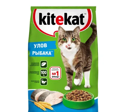 Корм для кошек «Purina One» сухой, индейка и злаки, 750 г купить в Минске:  недорого в интернет-магазине Едоставка