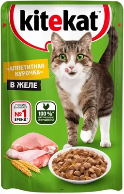 Корма для кошек - купить корм для кошек в интернет-магазинах, цены на  Мегамаркет