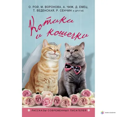 Коты и кошечки по-гречески | Центр помощи кошкам «Муркоша» | Дзен