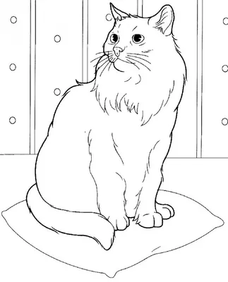 Картинки кошек для срисовки 9 мая (30 шт)