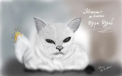 Картинки кошка для срисовки