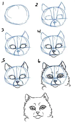 Рисунки кошек для срисовки легкие и красивые - 61 фото