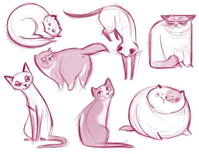 Раскраски животные, Раскраска Рисунок кошки для Домашние животные.