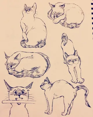 Как Легко И Просто Нарисовать МИЛУЮ КОШКУ | Как Нарисовать Кошку / Котёнка  шаг за шагом - YouTube