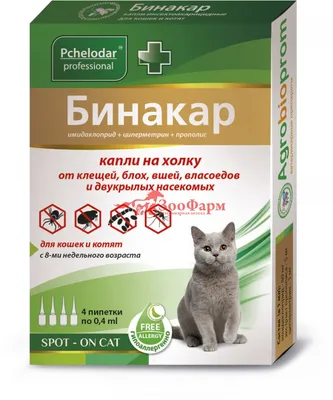 Как кормить котят без мамы, как выкормить котёнка своими руками