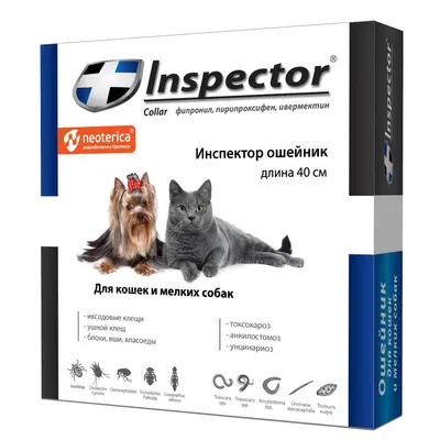 Капли для кошек и собак Инсектал, 2-4 кг ✓ товары для животных Neoterica  GmbH (Неотерика)