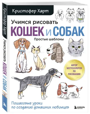 Ученые назвали московских кошек и собак частью «экосистемных услуг» -  Газета.Ru | Новости