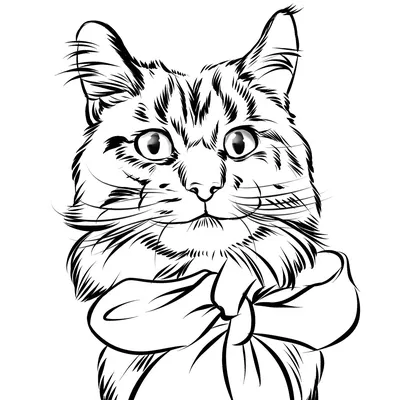 Рисунки кошек и котов - YouLoveIt.ru
