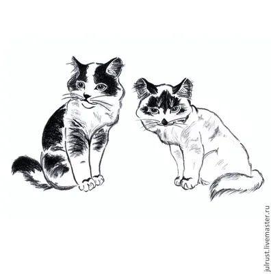 Как Легко И Просто Нарисовать МИЛУЮ КОШКУ | Как Нарисовать Кошку / Котёнка  шаг за шагом - YouTube