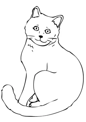 Раскраска животных кошка. раскраски животных раскраска кошка для детей.  Бесплатные раскраски.