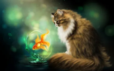 Фотография кот Рыбы Фэнтези Животные Рисованные