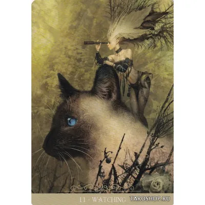 фантазии милые гавайские крошечные кошки кот кот кот кот кот кот  Иллюстрация штока - иллюстрации насчитывающей глаз, чешир: 270017213