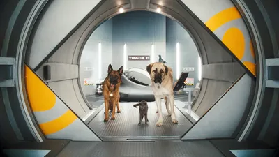 Кошки против собак 3: Союз питомцев (Фильм 2020) смотреть онлайн бесплатно  трейлеры и описание