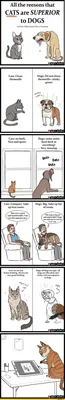 Кошки против собак» — 8 смешных комиксов про взаимоотношения животных от  разных авторов | Zinoink о комиксах и шутках | Дзен