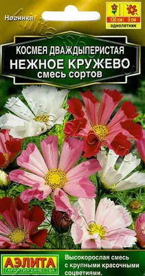 Семена цветов Гавриш космея красный по цене 27 ₽/шт. купить в Ярославле в  интернет-магазине Леруа Мерлен