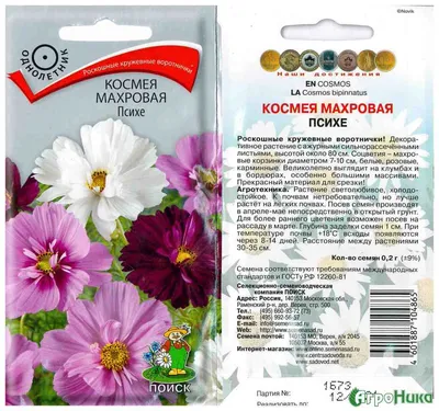 Космея Мандарин Купить элитные семена онлайн доставка по РФ | Гавриш шоп
