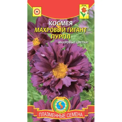 Космея семена купить | Интернет магазин семян цветов «Агросемфонд»