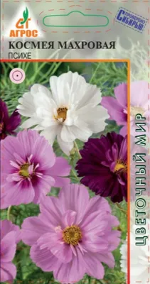 Космея Вега карликовая, смесь сортов (0,3 г) (Аэлита) — Питомник Летний сад