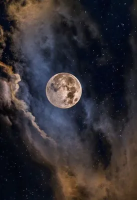Фотообои \"Луна из космоса\" - Арт. 891131 | Купить в интернет-магазине  Уютная стена