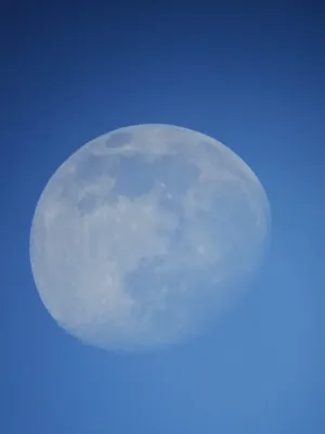 Луна в космическом пространстве - 51 фото