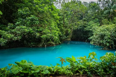 Природа Коста Рики (58 фото) - 58 фото